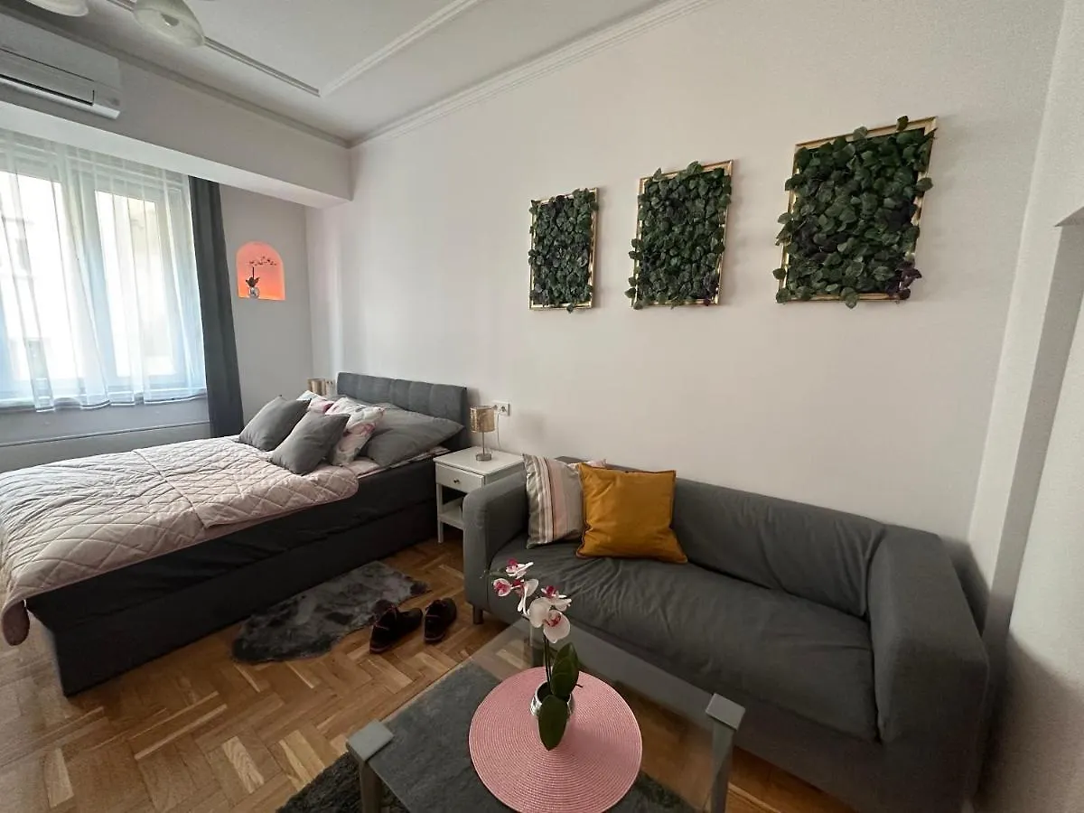 아파트 Elegant Home In The City Centre With Ac 부다페스트