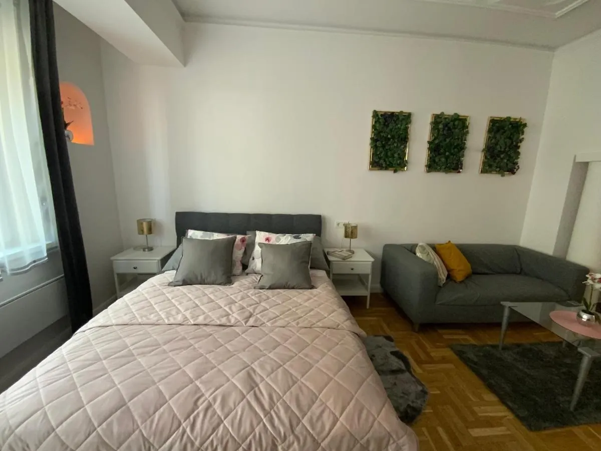 Elegant Home In The City Centre With Ac 부다페스트